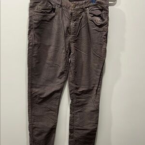 Ledbury Brown Moleskin Pant